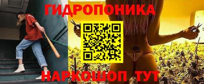 гашиш Новодвинск