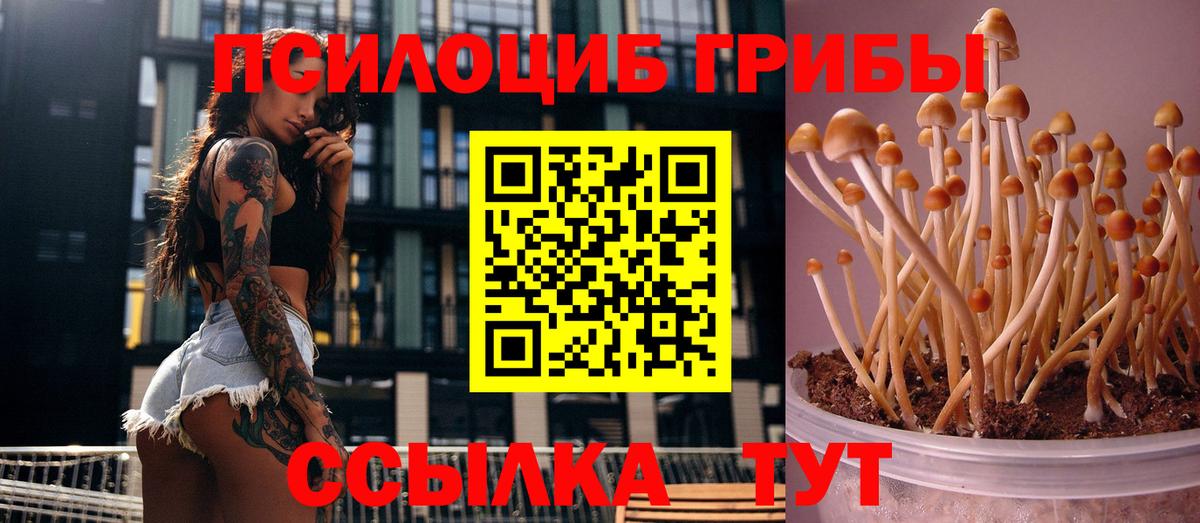 Псилоцибиновые грибы мухоморы Оренбург