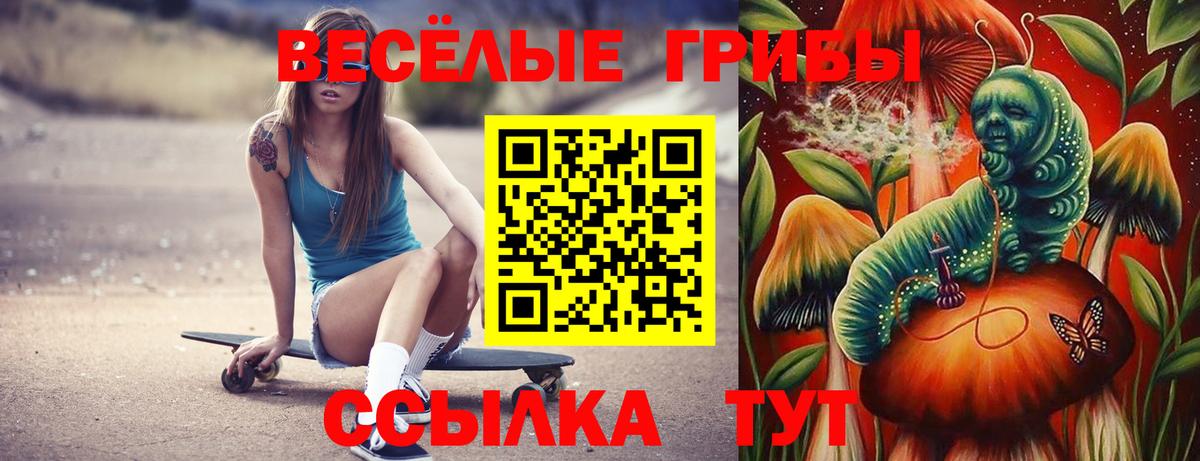 Оренбург  Псилоцибиновые грибы Psilocybine cubensis  Вход с VPN 
